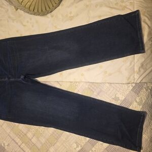 Lane Bryant Dark Blue Flare Jeans